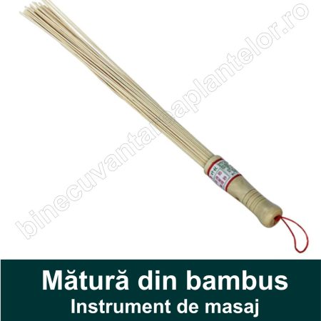Matura din bambus